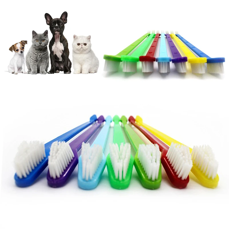 1 Pc Nylon Dual Head Pet Toothbrush Portable Soft Hair Dog Toy Tooth Brush Eco Friendly Cat Brushes Oral Cleaning Care Tools
1 Pc Nylon Dual Head Pet Toothbrush Portable Soft Hair Dog Toy Tooth Brush Eco Friendly Cat Brushes Oral Cleaning Care Tools