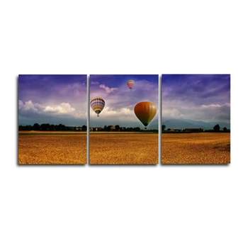 3 Panel Modern Canvas Oil Painting Poster Artwork Picture Printed for Living Room Bathroom Home Decoration Photo Album No Frame
3 Panel Modern Canvas Oil Painting Poster Artwork Picture Printed for Living Room Bathroom Home Decoration Photo Album No Frame