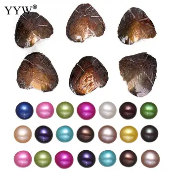 20pcs Noble Vacuum-packed Oyster Pearls for Birthday Gift 6.5-7mm Jewelry Akoya Oyster Oval Pearls
20pcs Noble Vacuum-packed Oyster Pearls for Birthday Gift 6.5-7mm Jewelry Akoya Oyster Oval Pearls