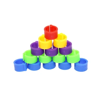 200 Pcs 8 MM Birds Pigeon Foot Ring Color Identification Ring Opening Pigeon Foot Ring Pigeon Supplies Bird Tools
200 Pcs 8 MM Birds Pigeon Foot Ring Color Identification Ring Opening Pigeon Foot Ring Pigeon Supplies Bird Tools