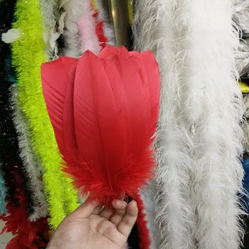 Wholesale 50pcs beautiful red plumage rare 25~30 cm / 10 to 12 inches Celebration clothing decoration
Wholesale 50pcs beautiful red plumage rare 25~30 cm / 10 to 12 inches Celebration clothing decoration