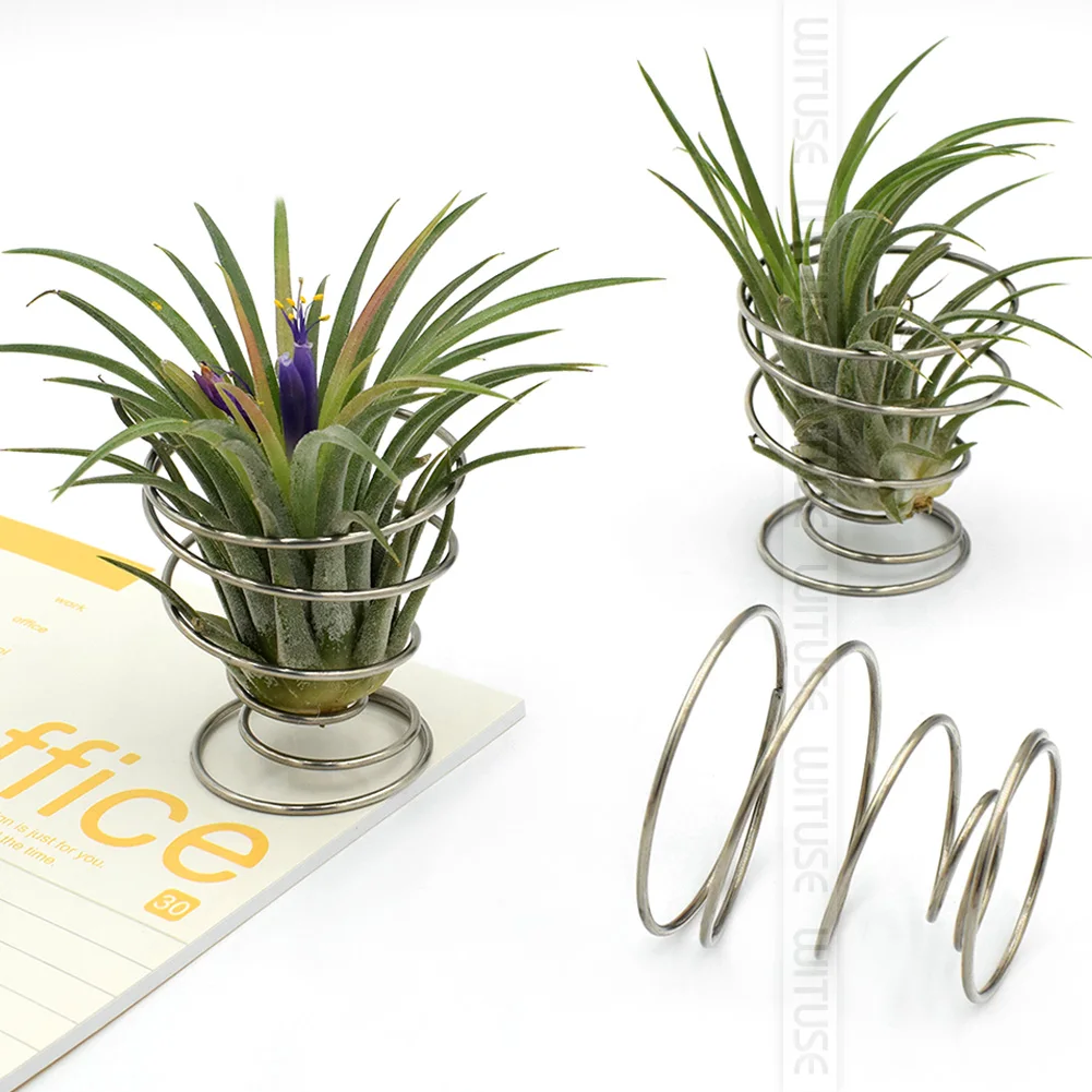 Promotion! 6Pcs 3Pcs 5cm Air Plant Tillandsia Pot Metal Cup-shaped Spring Stand Holder Table Desk Display Home Decor
Promotion! 6Pcs 3Pcs 5cm Air Plant Tillandsia Pot Metal Cup-shaped Spring Stand Holder Table Desk Display Home Decor