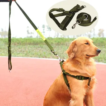 Nylon Small Animals Dog Harnesses Step in Soft Mesh Padded Small Animals Dogs Puppy Harness Leash Set Safety For Walking
Nylon Small Animals Dog Harnesses Step in Soft Mesh Padded Small Animals Dogs Puppy Harness Leash Set Safety For Walking