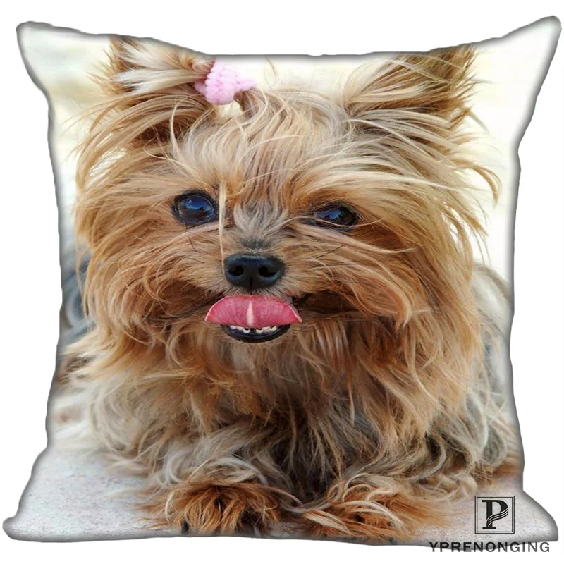Best Custom yorkshire-terrier-dog (1)@ Pillow Case Bedroom Home Square zipper Pillowcases (One Side) #190404-01-32
Best Custom yorkshire-terrier-dog (1)@ Pillow Case Bedroom Home Square zipper Pillowcases (One Side) #190404-01-32
