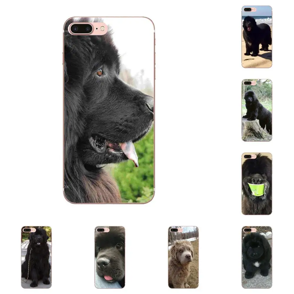 Newfoundland Dog Beautiful Gentle Giant For LG Nexus 5 5X G2 G3 mini spirit G4 G5 G6 K4 K7 K8 K10 2017 V10 V20 V30 Stylus
Newfoundland Dog Beautiful Gentle Giant For LG Nexus 5 5X G2 G3 mini spirit G4 G5 G6 K4 K7 K8 K10 2017 V10 V20 V30 Stylus