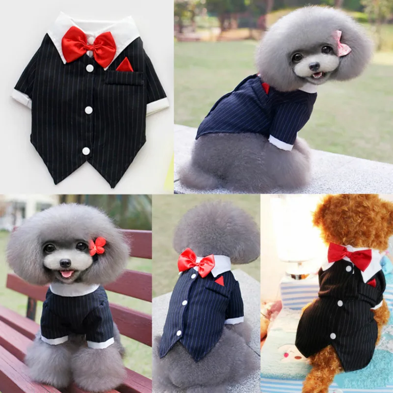 Cat-Puppy-Clothes-Dog-Wedding-Dress-Tuxedo-Suit-Coat-With-Bowtie-Chihuahua-Poodle-Bichon-Schnauzer-Pug (1)