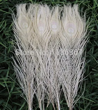 Free shipping white dyed peacock feather 100pcs/lot length 25- 30 cm 10-12 inch peacock feathers wedding decorations wholesale
Free shipping white dyed peacock feather 100pcs/lot length 25- 30 cm 10-12 inch peacock feathers wedding decorations wholesale
