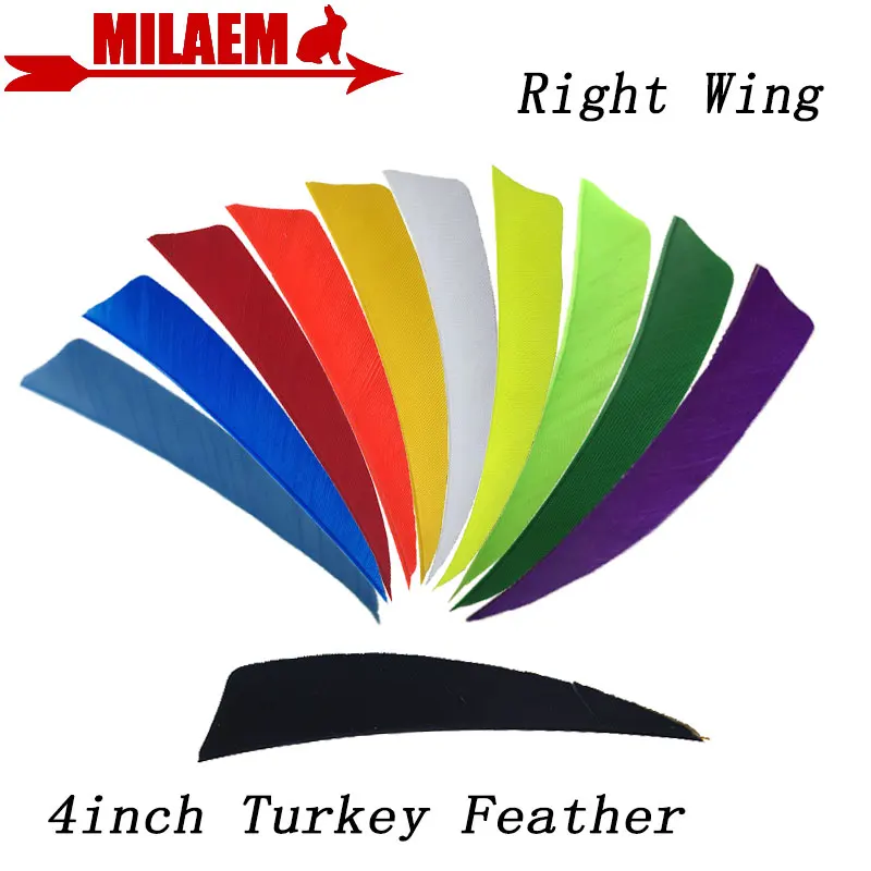 50/100pcs 4inch Archery Turkey Feathers Arrow Fletching DIY Arrow Shaft Outdoor Sports Hunting Shooting Bow Arrow Accessories
50/100pcs 4inch Archery Turkey Feathers Arrow Fletching DIY Arrow Shaft Outdoor Sports Hunting Shooting Bow Arrow Accessories