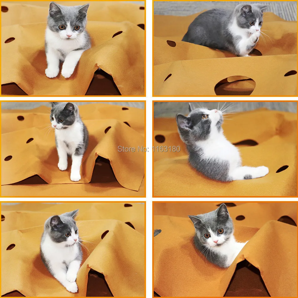 100 pcs/lotCat Litter Mat Trapper Foldable Durable Pet Cat Litter Home Pad Household Pet Supply
100 pcs/lotCat Litter Mat Trapper Foldable Durable Pet Cat Litter Home Pad Household Pet Supply
