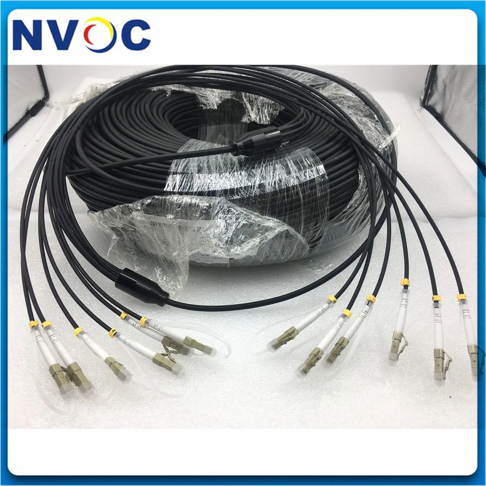 250M 6 core Armored Fiber Patchcords SC LC-LC FC ST UPC Multimode 6Fibers Armored Optical Fibre Jumper Cable
250M 6 core Armored Fiber Patchcords SC LC-LC FC ST UPC Multimode 6Fibers Armored Optical Fibre Jumper Cable