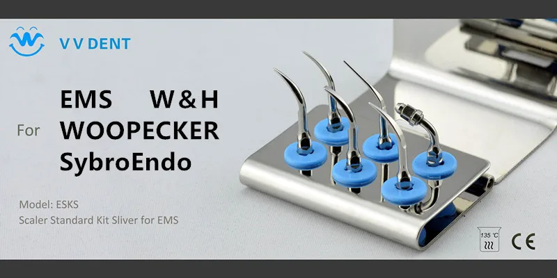 1 Набор ESKS Scaler стандартный набор Серебряный G1 медицинское стоматологическое