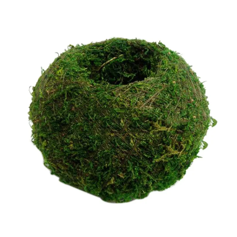 Japanese Moss Ball Creative DIY Gardening Potted Plants Home Micro-landscape Personality Flower Pot planter Home & Garden
Japanese Moss Ball Creative DIY Gardening Potted Plants Home Micro-landscape Personality Flower Pot planter Home & Garden