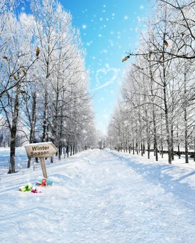 Winter Wonderland Snow Trees Backgrounds for sale Vinyl cloth High quality Computer printed christmas backdrops
Winter Wonderland Snow Trees Backgrounds for sale Vinyl cloth High quality Computer printed christmas backdrops