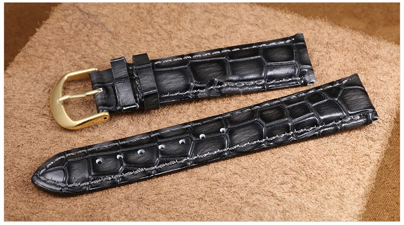 3146835448_1417998351