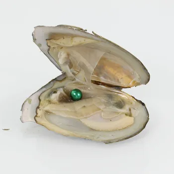 Fashion Green Freshwater Pearl Oysters Vacuum Packed 7-8MM Round Akoya Pearls in Oysters 30Pcs Love Wish Pearl Gift FP223
Fashion Green Freshwater Pearl Oysters Vacuum Packed 7-8MM Round Akoya Pearls in Oysters 30Pcs Love Wish Pearl Gift FP223