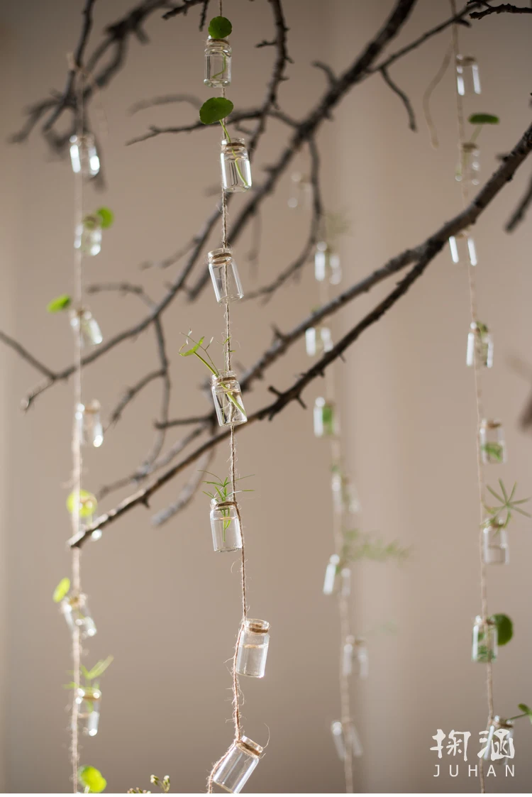 3 Strings Glass Bottle Wind Chimes Decoration Pendant Charm Curtain Plant Flower Ornament
3 Strings Glass Bottle Wind Chimes Decoration Pendant Charm Curtain Plant Flower Ornament