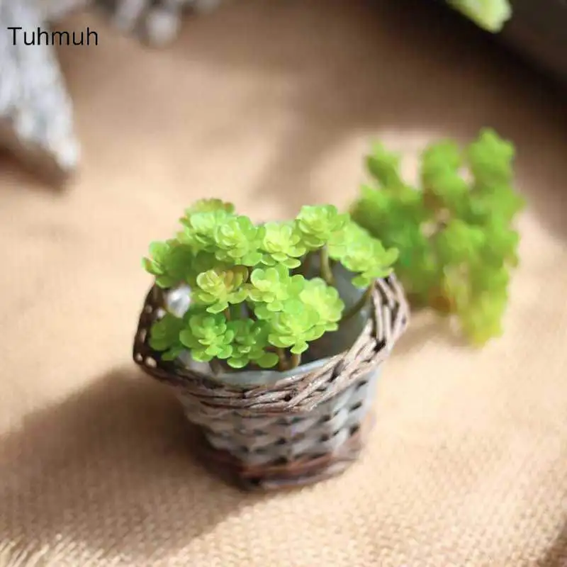 Micro Green Artificial Flowers Ornaments Plastic Fake Artificial Succulents Plants Wedding Home Garden Decoration
Micro Green Artificial Flowers Ornaments Plastic Fake Artificial Succulents Plants Wedding Home Garden Decoration