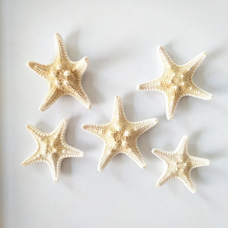 6PC Colorful Mediterranean Natural Crafts Shell Artificial Sea Star Fish Tank Aquarium Ornaments Wedding Party Home Decor
6PC Colorful Mediterranean Natural Crafts Shell Artificial Sea Star Fish Tank Aquarium Ornaments Wedding Party Home Decor