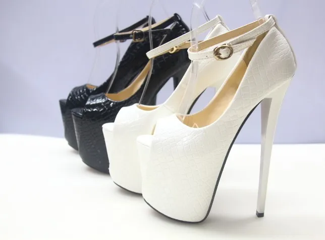 4540112515_511216355