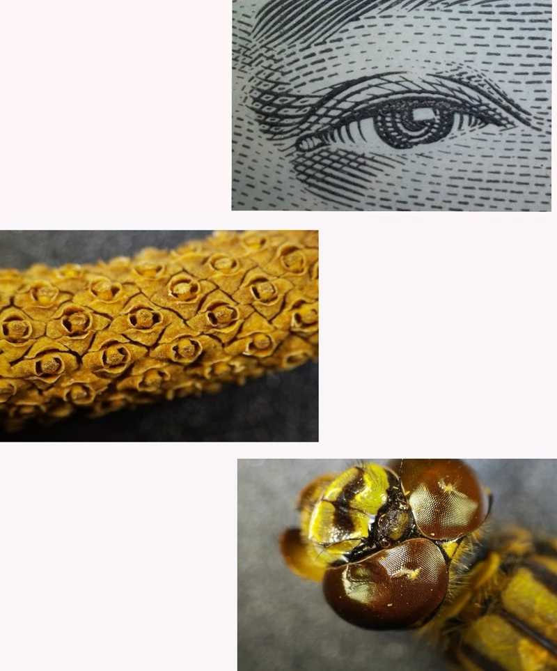 AD301-009