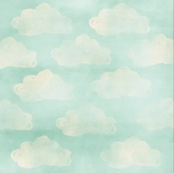 Blue Cloud Pattern White Clouds photo studio background Vinyl cloth High quality Computer printed custom backdrop
Blue Cloud Pattern White Clouds photo studio background Vinyl cloth High quality Computer printed custom backdrop