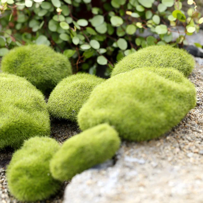 10pcs Artificial Moss Stone Chemical Fiber Green Flocking Suitable For Micro Landscape Decoration Garden 3/6/8CM Fake Plants
10pcs Artificial Moss Stone Chemical Fiber Green Flocking Suitable For Micro Landscape Decoration Garden 3/6/8CM Fake Plants