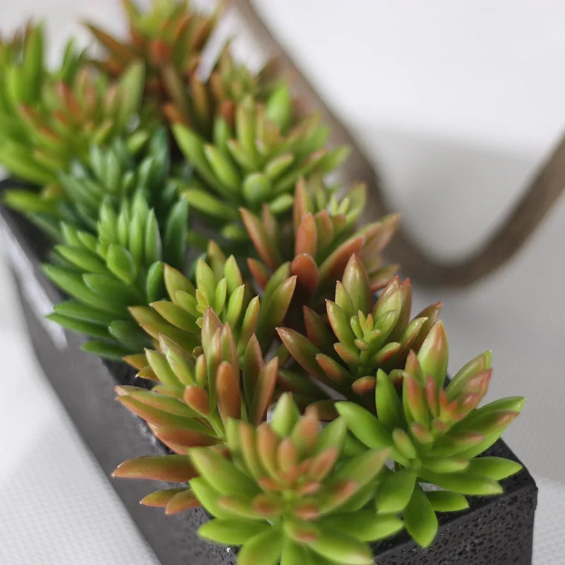 3Pcs Artificial Flowers Snowdrop Fleshy Simulation Fake Plant Home Hotel Table Window Ornaments DIY Bonsai Props Supplies PVC
3Pcs Artificial Flowers Snowdrop Fleshy Simulation Fake Plant Home Hotel Table Window Ornaments DIY Bonsai Props Supplies PVC