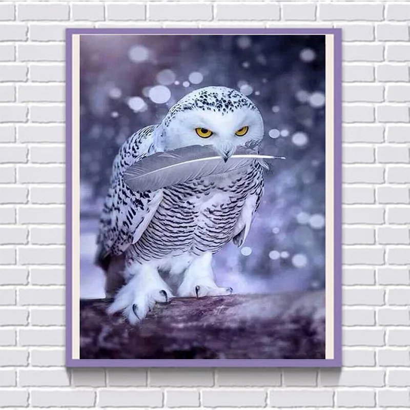 5D DIY Diamond Embroidered Owl Diamond Painting Cross Stitch Square Diamond Handicraft Rhinestone Mosaic Home Decor mural F114
5D DIY Diamond Embroidered Owl Diamond Painting Cross Stitch Square Diamond Handicraft Rhinestone Mosaic Home Decor mural F114