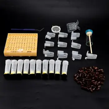 155Pcs Queen Rearing Kit Bee Cultivating Tool Plastic Beekeeping Box Cell Cup Marking Tube Set Beekeeping Tools
155Pcs Queen Rearing Kit Bee Cultivating Tool Plastic Beekeeping Box Cell Cup Marking Tube Set Beekeeping Tools