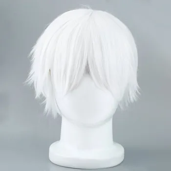 Tokyo Ghoul Cosplay Hairs Short Straight Silver Gray Color Silk Synthetic Hair Halloween Masquerade Party Costumes 2019 Fashion
Tokyo Ghoul Cosplay Hairs Short Straight Silver Gray Color Silk Synthetic Hair Halloween Masquerade Party Costumes 2019 Fashion