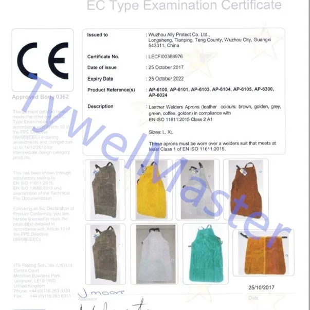 CE__