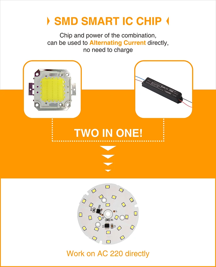 LED Down Light_TD-01 Chip_21