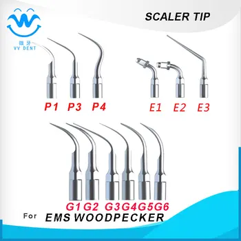 Supragingival scaling tip Endo tip Perio scaling tip COMPITABLE FOR WOODPECKER, EMS, HENRY SCEHEINE-SERIES
Supragingival scaling tip Endo tip Perio scaling tip COMPITABLE FOR WOODPECKER, EMS, HENRY SCEHEINE-SERIES