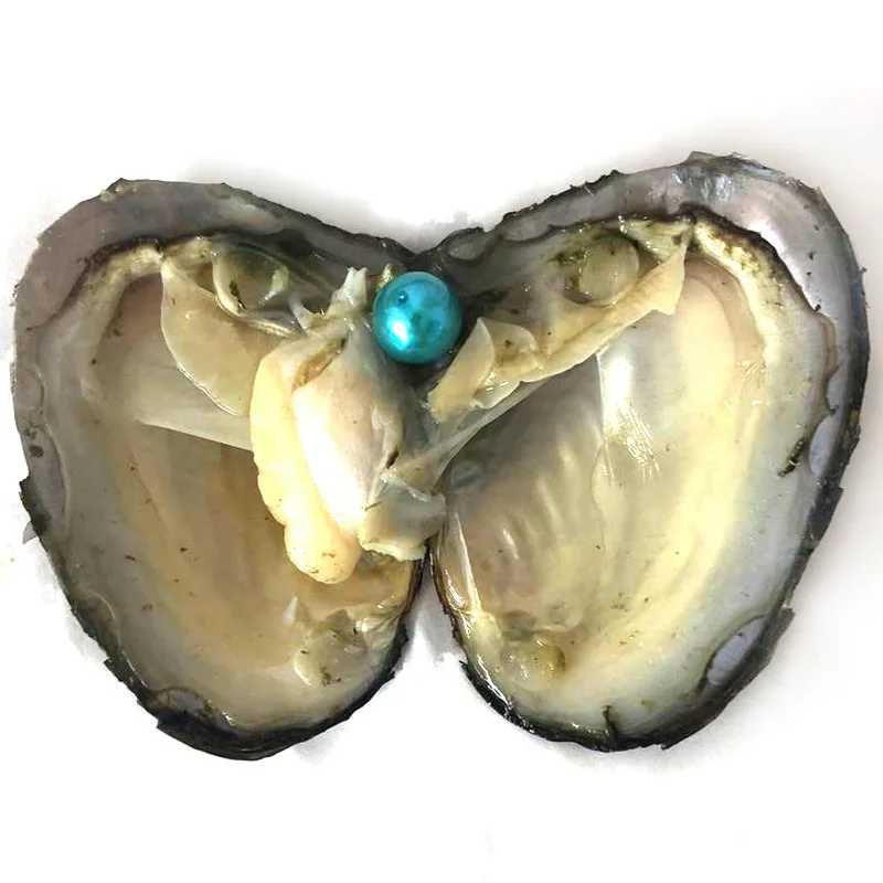 20pcs Single Teal Blue 9-10mm Near Round Edison Pearl with Vacuum Packed Oyster Fresh Pearl in Oyster
20pcs Single Teal Blue 9-10mm Near Round Edison Pearl with Vacuum Packed Oyster Fresh Pearl in Oyster