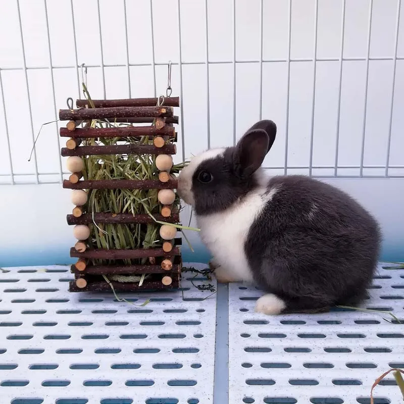 Wooden Rabbit Grass Food Feeder Hangable Small Animal Grass Frame for Chinchilla Dutch Pig Grass Feeding Rabbit Cage Accessories
Wooden Rabbit Grass Food Feeder Hangable Small Animal Grass Frame for Chinchilla Dutch Pig Grass Feeding Rabbit Cage Accessories