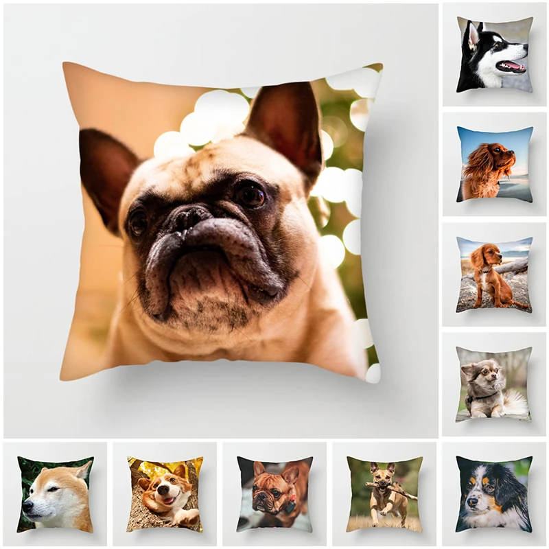 Fuwatacchi Cute Dog Cushion Cover Animal Throw Pillows Pillow Cover for Sofa Bedroom Linen Pillowcase Decorative Pillowcases
Fuwatacchi Cute Dog Cushion Cover Animal Throw Pillows Pillow Cover for Sofa Bedroom Linen Pillowcase Decorative Pillowcases