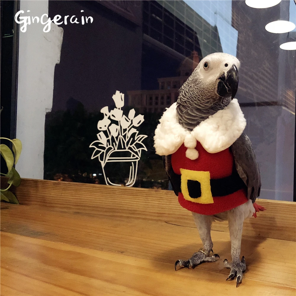 Gingerain Bird clothes Parrot clothes small Christmas original hand-made custom bird clothes Hooded Sweater small Christmas
Gingerain Bird clothes Parrot clothes small Christmas original hand-made custom bird clothes Hooded Sweater small Christmas