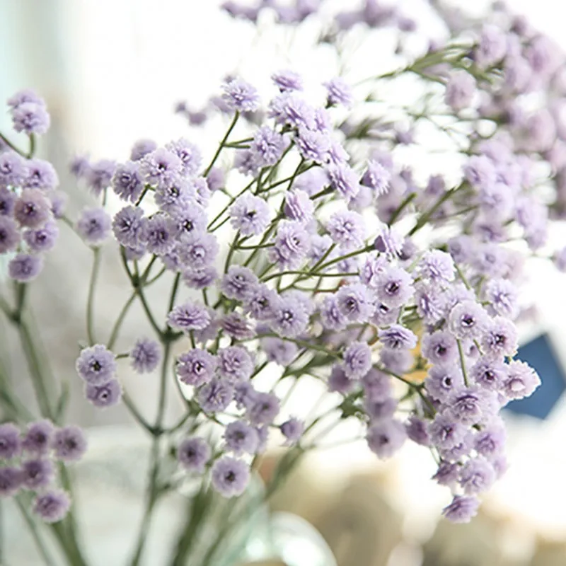 Мелкие Цветы Для Букетов Названия И Фото – Telegraph