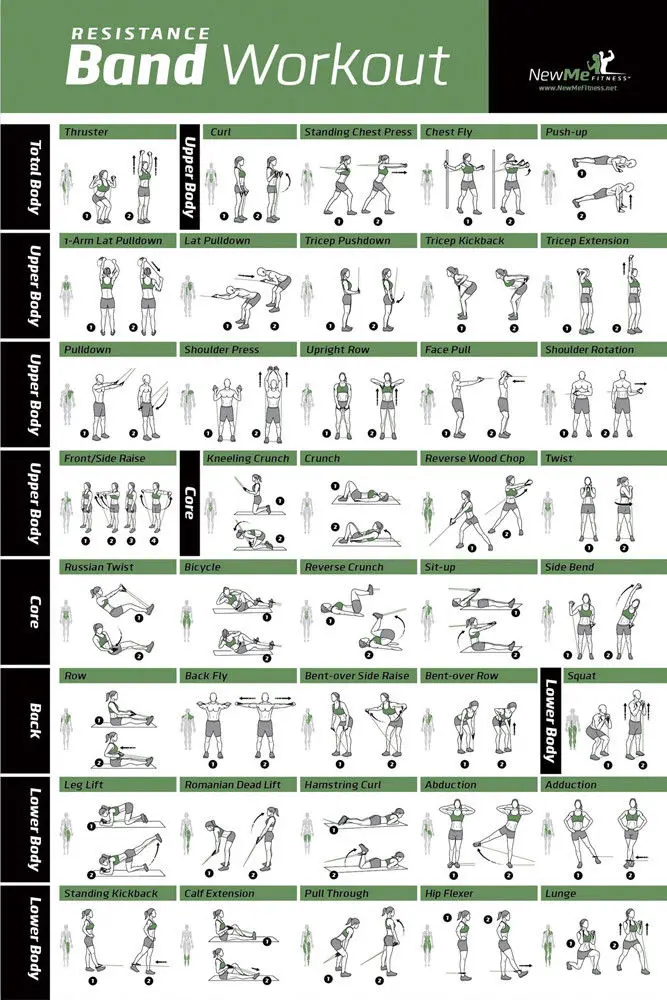 Lats Workout Chart