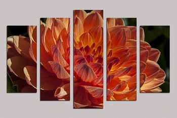 5pcs Pictures about "Beautiful flowers" Oil Painting On Canvas home decor Modern Drawing living room wall stickers RM5-040
5pcs Pictures about "Beautiful flowers" Oil Painting On Canvas home decor Modern Drawing living room wall stickers RM5-040