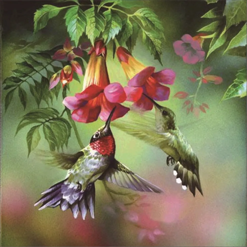 5d diy diamond painting full round animal crossing diamond painting vogels diamond painting birds paint with diamonds
5d diy diamond painting full round animal crossing diamond painting vogels diamond painting birds paint with diamonds