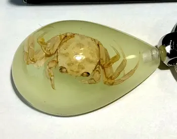 free shipping YQTDMY 10 PCS Trendy Accessories Charming Crab Insect Glow in dark Drop Keychain
free shipping YQTDMY 10 PCS Trendy Accessories Charming Crab Insect Glow in dark Drop Keychain