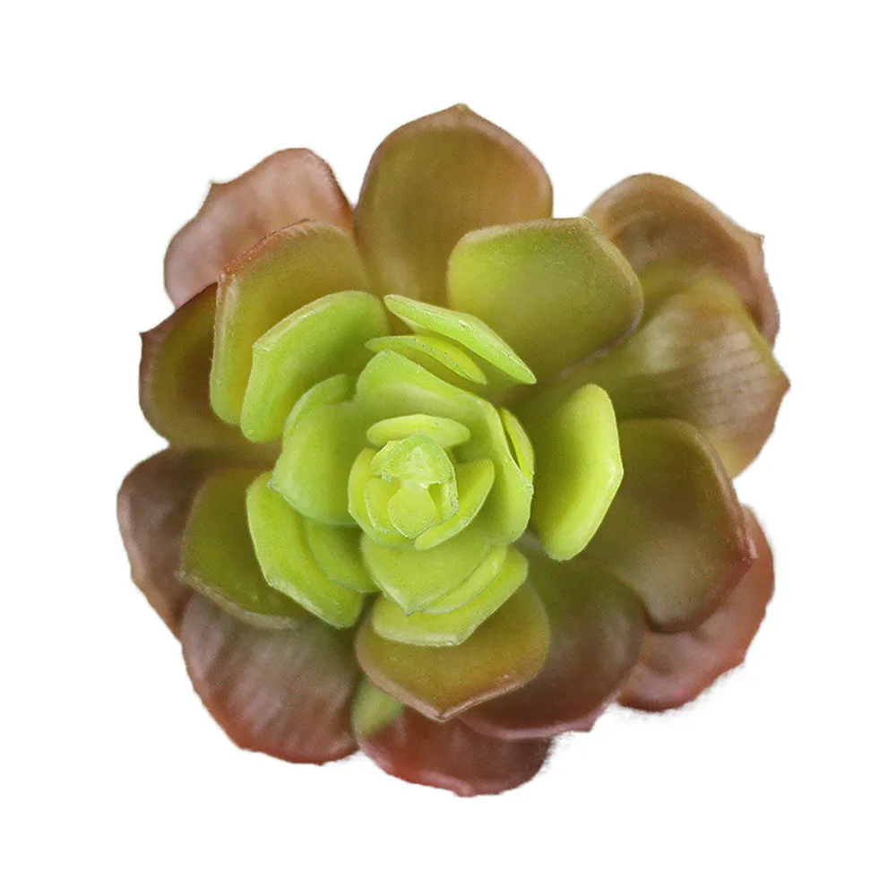 Artifical Plastic Succulent Plant Cactus Echeveria Flower Home Office Decor Gift Hot Sale