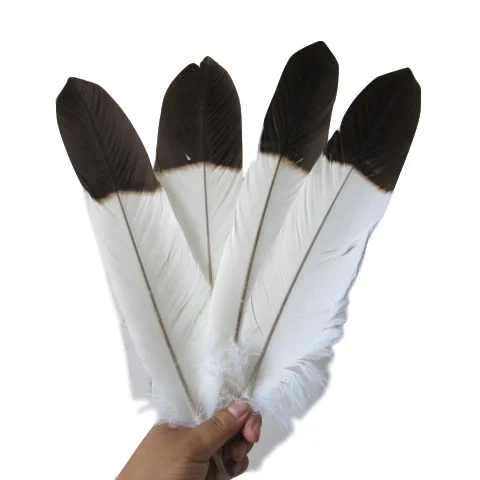 Wholesale 5 Pcs Scare Natural Big White Eagle Tail Feathers 40-45cm/16-18inch Eagle Feathers Decorative Diy Jewelry Accessories
Wholesale 5 Pcs Scare Natural Big White Eagle Tail Feathers 40-45cm/16-18inch Eagle Feathers Decorative Diy Jewelry Accessories