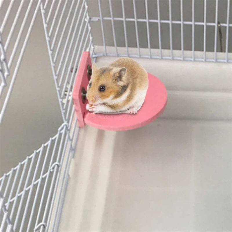 1pc Small Pet Hamster Platform Bracket Toy Fan Squirrel Cage Accessories Multicolor Ecological Board
1pc Small Pet Hamster Platform Bracket Toy Fan Squirrel Cage Accessories Multicolor Ecological Board
