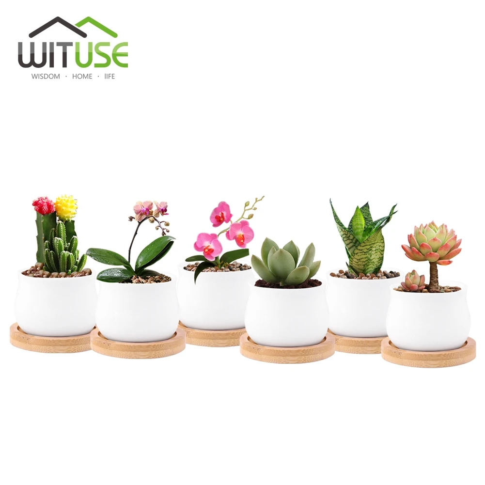 WITUSE Home Garden Supplies White Creamic Jar Flower Pots With Bamboo Trays Small Round Ceramic Planter Bonsai Pot For Succulent
WITUSE Home Garden Supplies White Creamic Jar Flower Pots With Bamboo Trays Small Round Ceramic Planter Bonsai Pot For Succulent