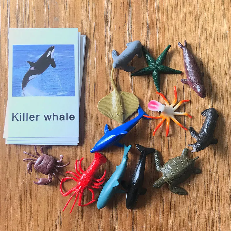 Montessori Animal Card Pairing Model Early Educational Toys Knowledge Literacy Marine life
Montessori Animal Card Pairing Model Early Educational Toys Knowledge Literacy Marine life
