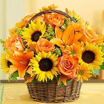 5D DIY Diamond Painting Flower Full Round Diamond Embroider Cross Stitch Beautiful Sunflower Basket Needlework Home Decorative
5D DIY Diamond Painting Flower Full Round Diamond Embroider Cross Stitch Beautiful Sunflower Basket Needlework Home Decorative
