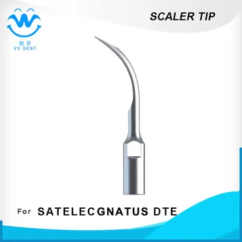 GD6,SCALER TIPS,DENTAL TIPS,USED FOR SATELEC,DTE,GNATUS, HU-FRIEDY IQ,MICODONT SE,DTE D1,D3,D5,D7
GD6,SCALER TIPS,DENTAL TIPS,USED FOR SATELEC,DTE,GNATUS, HU-FRIEDY IQ,MICODONT SE,DTE D1,D3,D5,D7