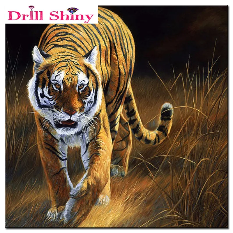3D diy diamond painting tiger pictures of Square rhinestones cross stitch Diamond Embroidery needlework home decorative
3D diy diamond painting tiger pictures of Square rhinestones cross stitch Diamond Embroidery needlework home decorative